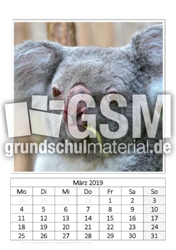 März_Koala.pdf